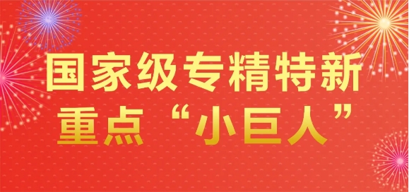 喜报丨智腾微电子荣膺国家级专精特新重点“小巨人”企业称号
